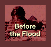 Before the Flood discussion group